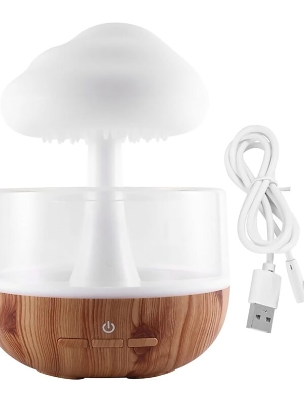 Cloud Rain  Humidifier