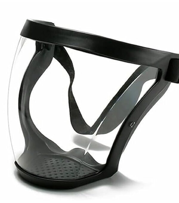 Transparent Faceshield Mask